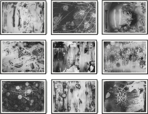 Scanography MLT by Sven Pfrommer, Photography for Sale on Singulart