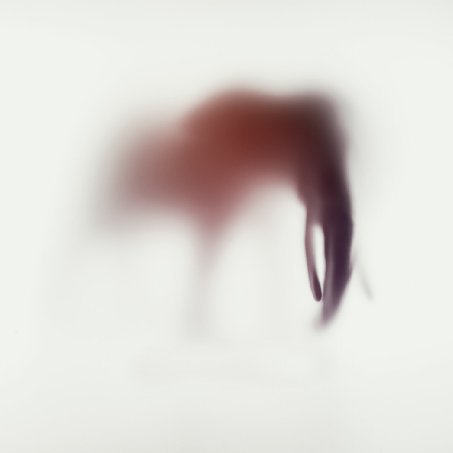 WILD LENS - ELEPHANT XXIV Sven Pfrommer