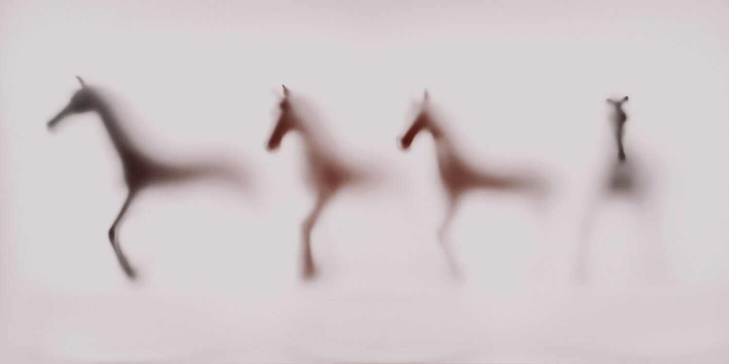 WILD LENS - HORSES III Sven Pfrommer