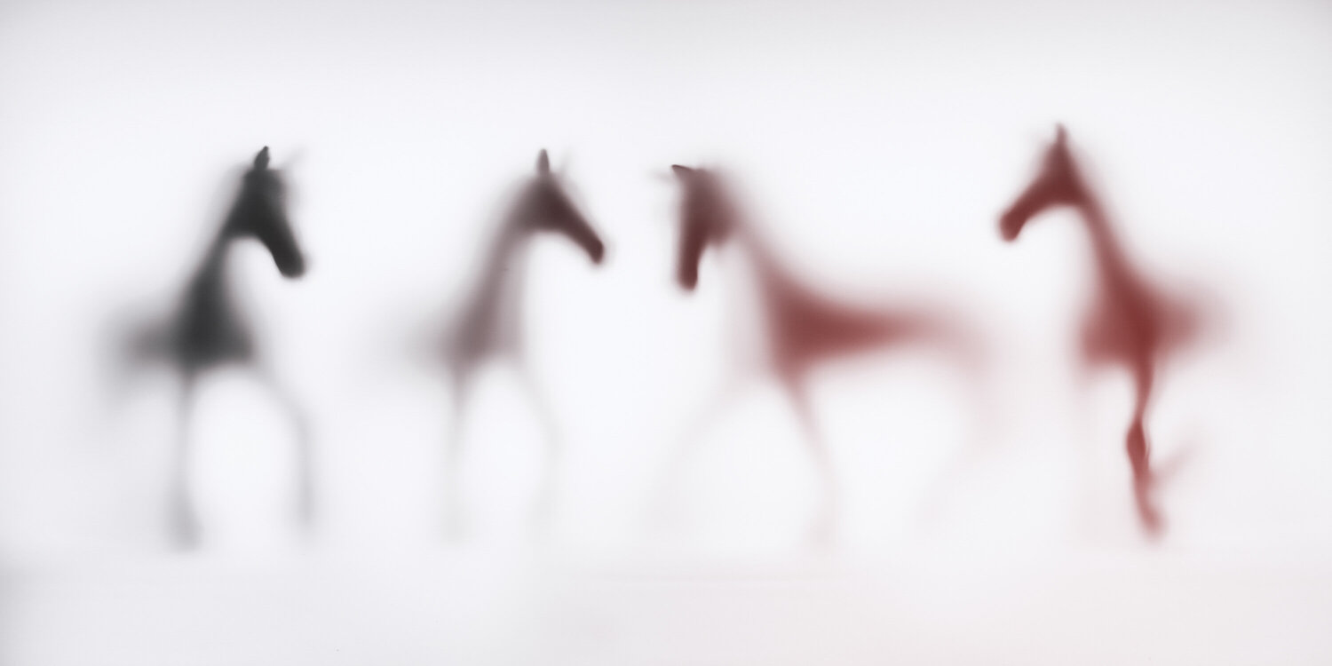WILD LENS - HORSES VII Sven Pfrommer