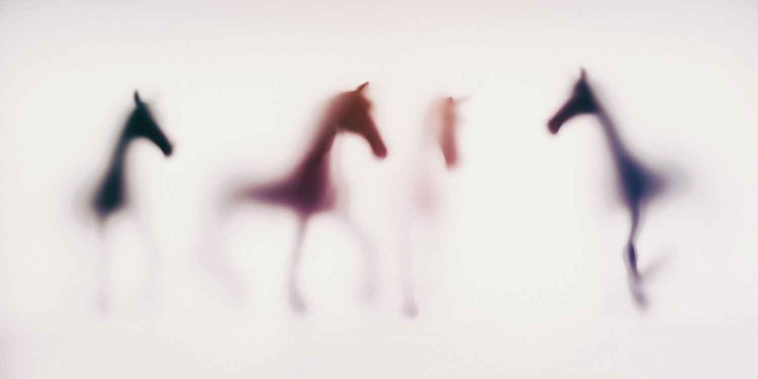 WILD LENS - HORSES IX Sven Pfrommer