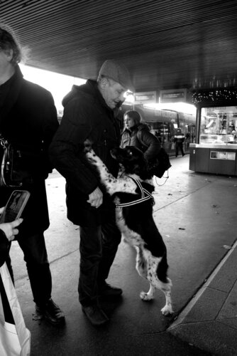 "Vienna- Bus Station Happy Reunion di JO Tuck, Fotografia in vendita su Singulart