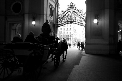 "Vienna-Towards The Light di JO Tuck, Fotografia in vendita su Singulart