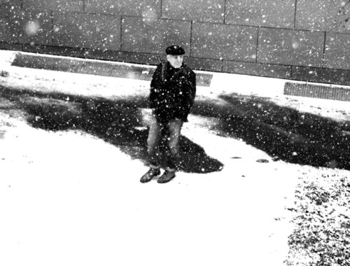 "Vienna  Palace  -Caught In The Snow " " di JO Tuck, Fotografia in vendita su Singulart