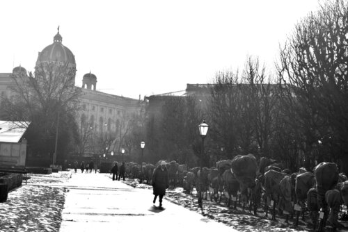 "Vienna  Volksgarten-Winter Stroll in The Park " di JO Tuck, Fotografia in vendita su Singulart