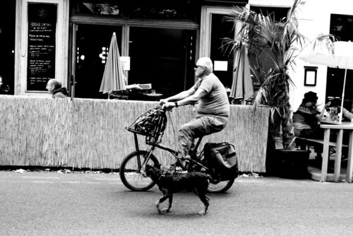 "Paris-  Man Cycling With Friend " by JO Tuck, 사진 for Sale on Singulart