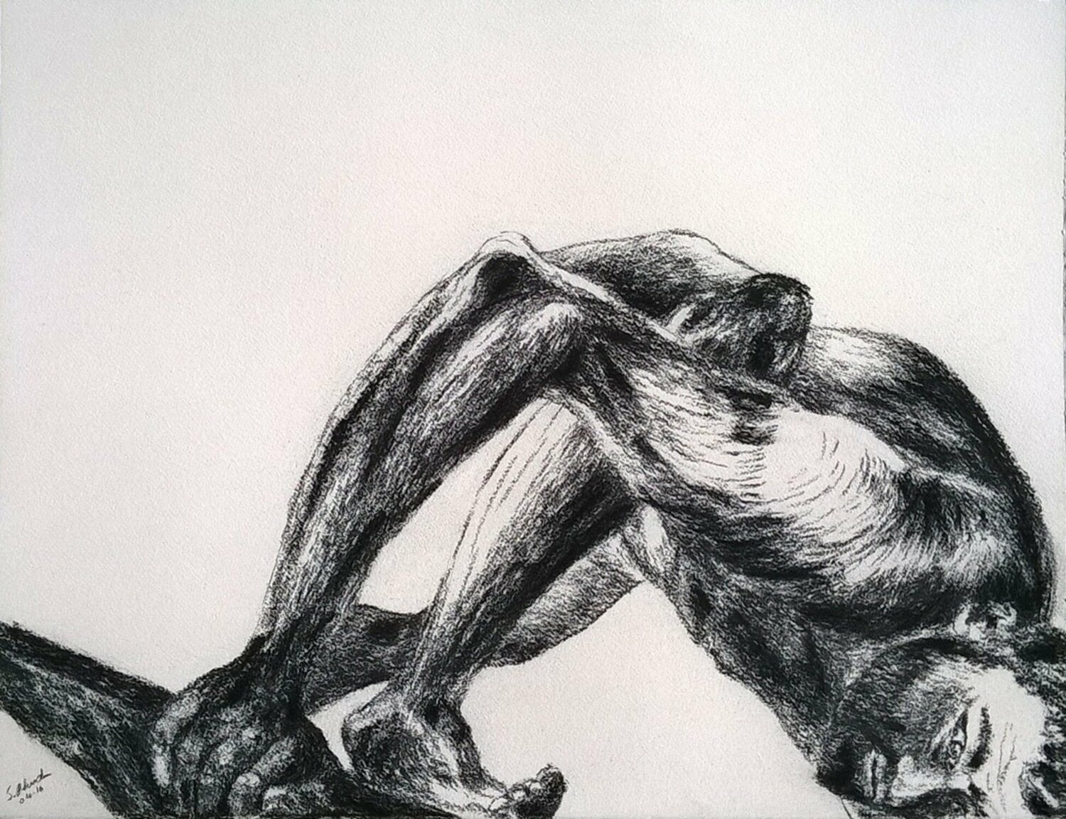 Human V Sylvia Rhud