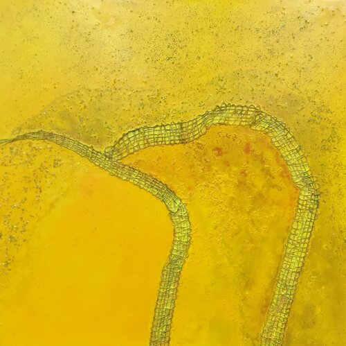 Yellow Curve 2 von Jenny Price, Malerei kaufen auf Singulart