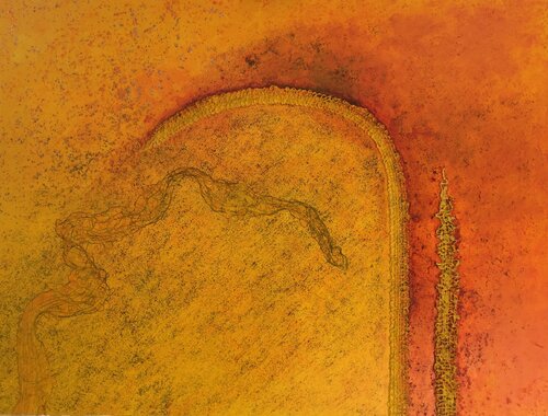 Yellow Curve 5 von Jenny Price, Malerei kaufen auf Singulart