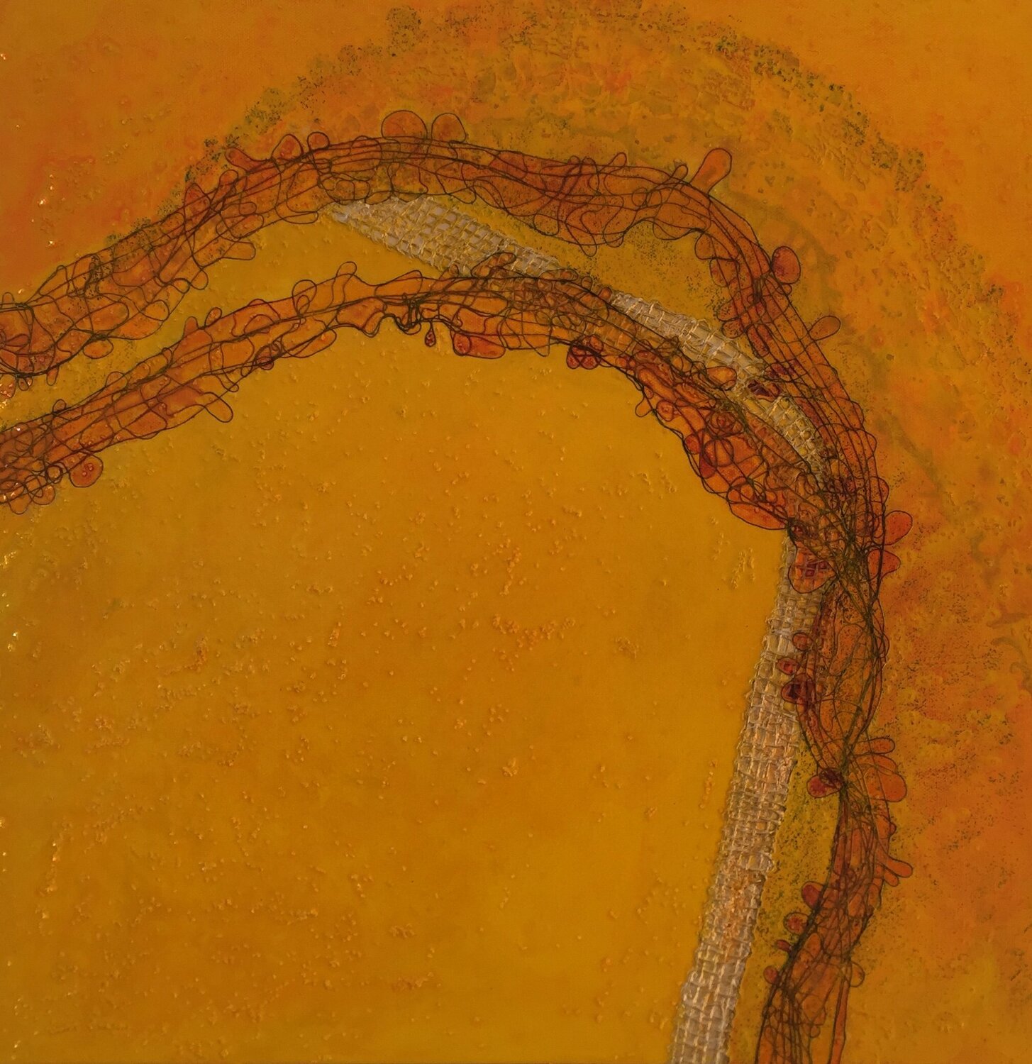 Yellow Curve 1 Jenny Price