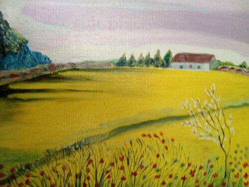 Champ de colza Catherine LE ROUX