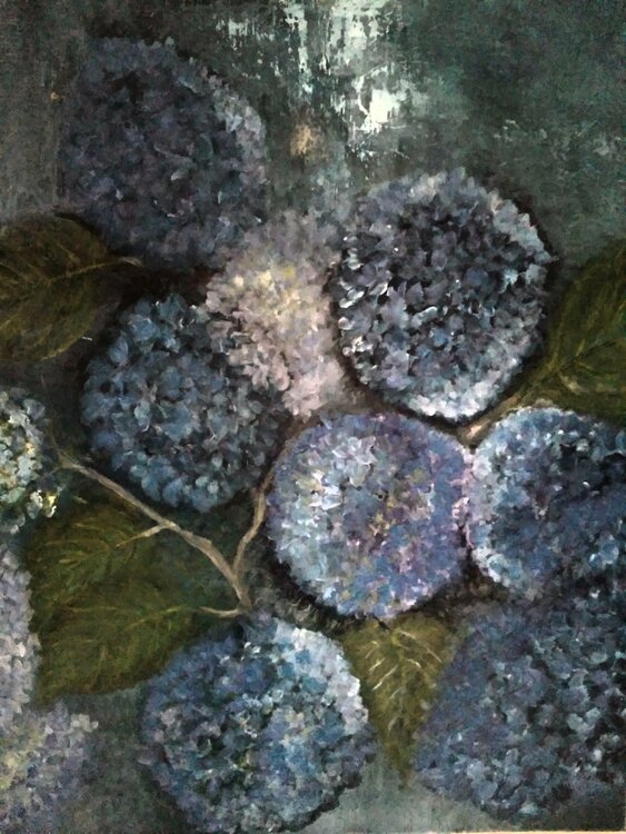 Hortensias Catherine LE ROUX