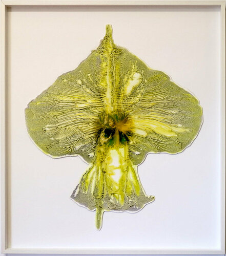 Herbivorous by Jenny Reddin, Painting for Sale on Singulart