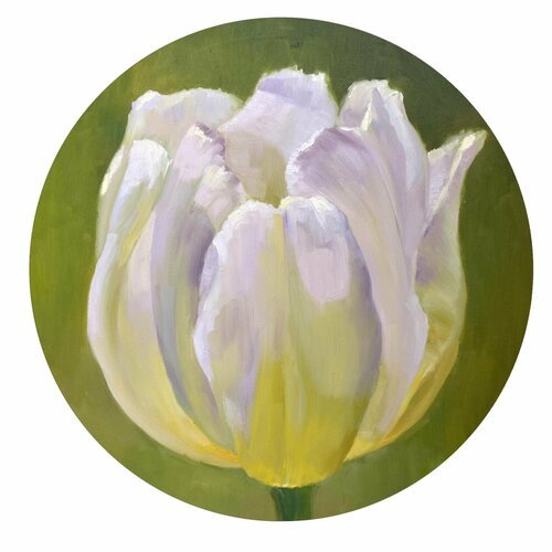 Tulipan blanco de Olga Pérez Alonso, Pintura a la venta en Singulart