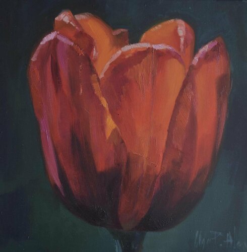Tulipan rojo van Olga Pérez Alonso, Schilderij te koop op Singulart