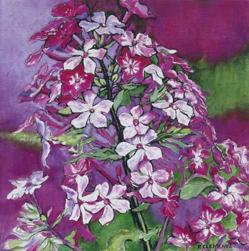 Vibrant Pink Flower Spray Patricia Clements