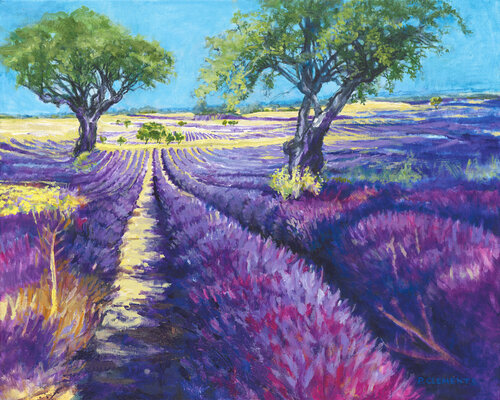 Lavender Fields of France van Patricia Clements, Schilderij te koop op Singulart