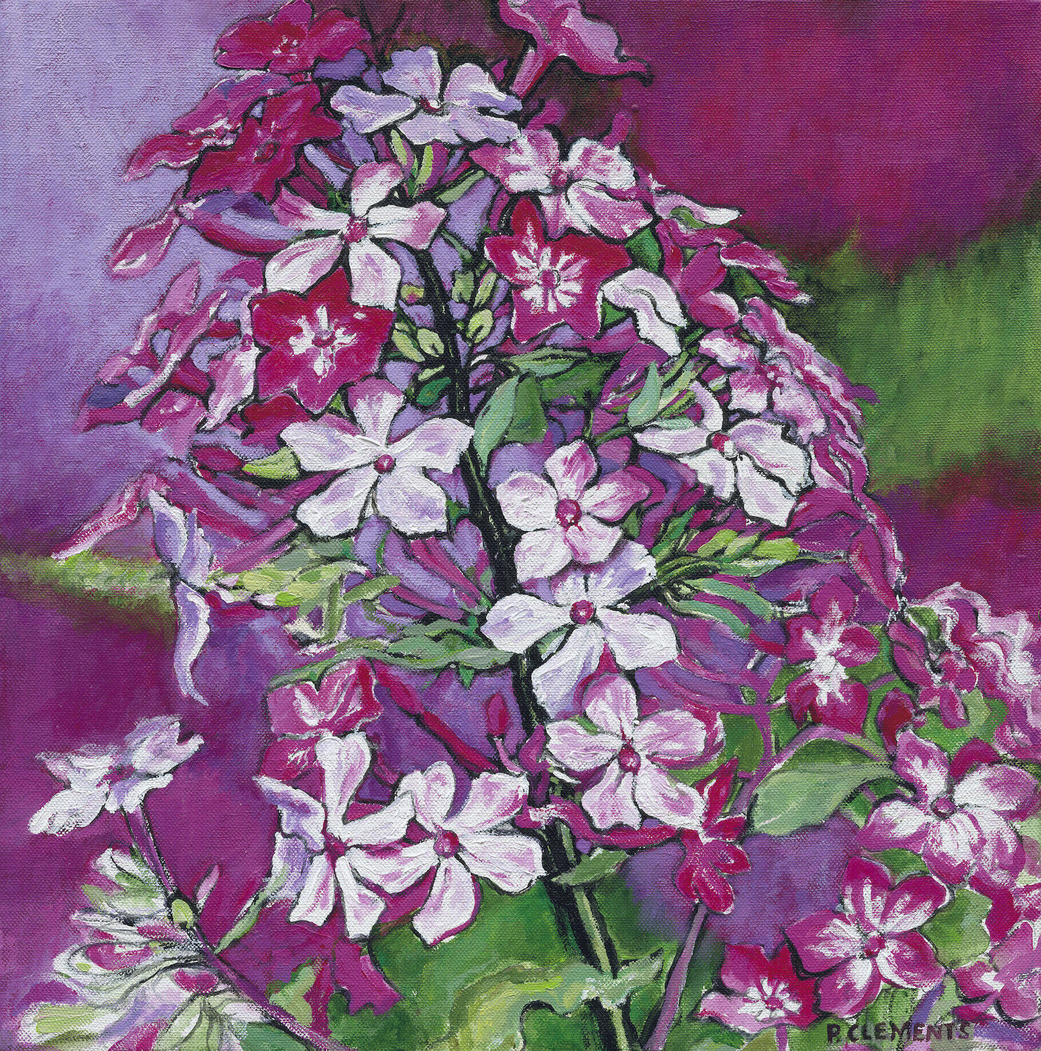 Vibrant Pink Flower Spray Patricia Clements