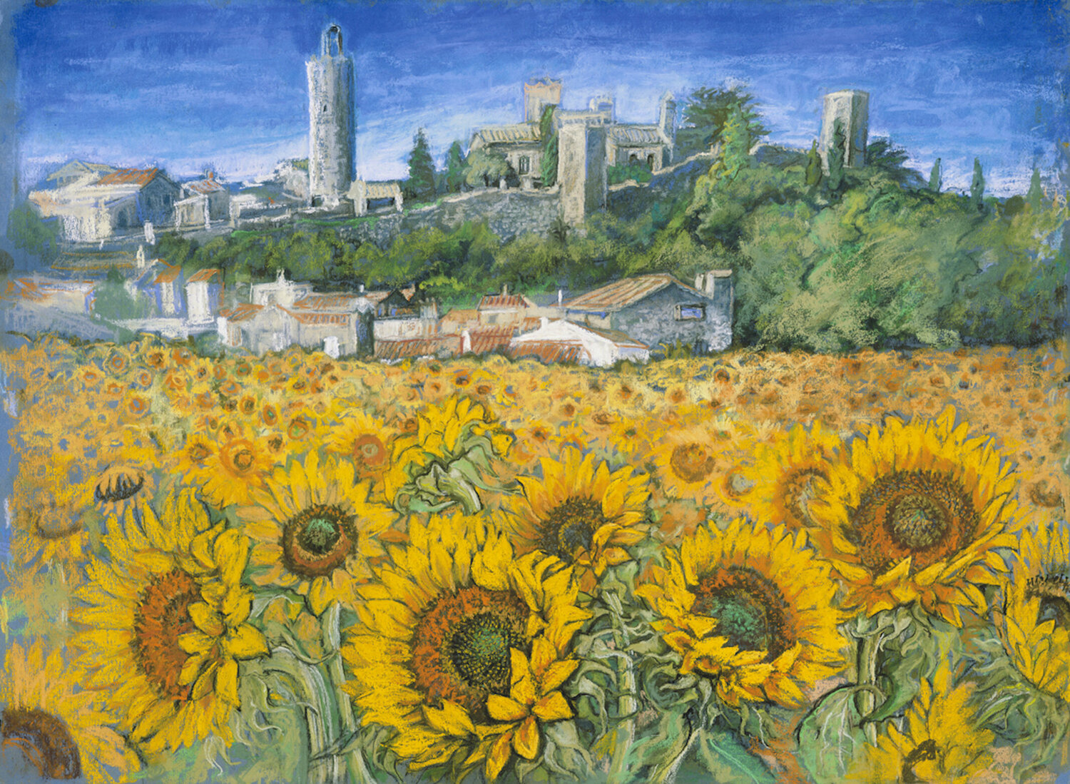 New Sunflower Fields near Pals Patricia Clements