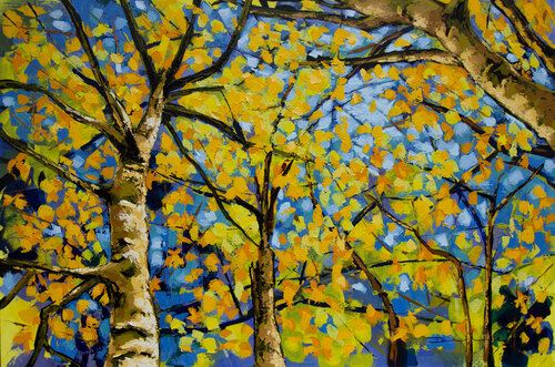 Guayacán amarillo Didier Franco