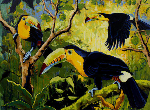 Tucanes Didier Franco