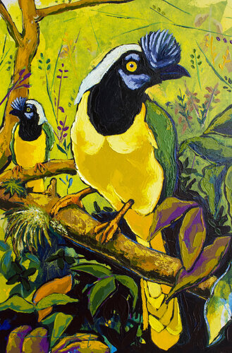 Chara verde van Didier Franco, Schilderij te koop op Singulart