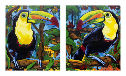 Dos tucanes Didier Franco