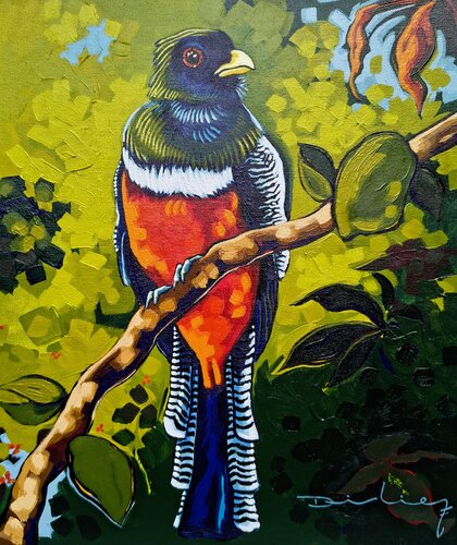 Trogón acollarado by Didier Franco, Painting for Sale on Singulart