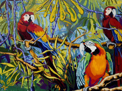 Guacamayas di Didier Franco, Pittura in vendita su Singulart