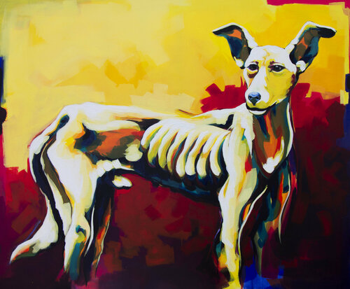 Colombo (el perro) Didier Franco