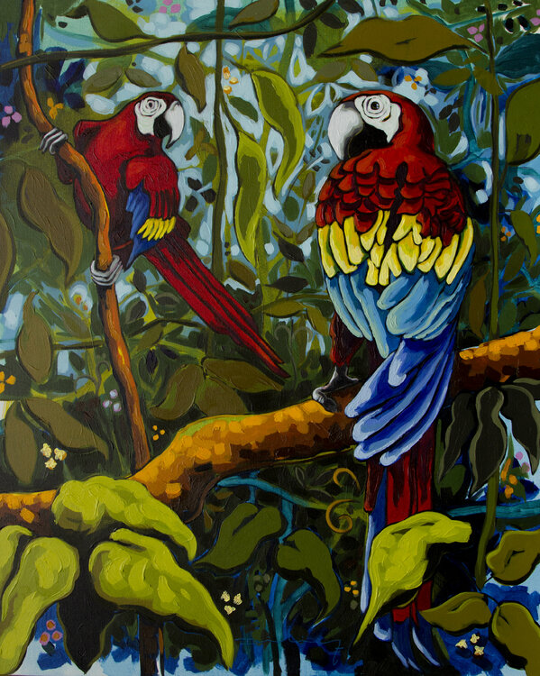 Dos guacamayas Didier Franco