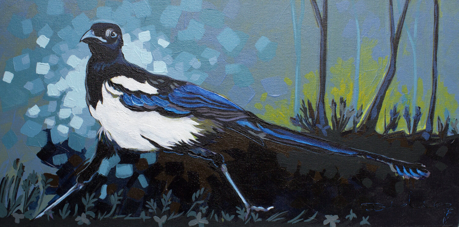 Urraca Didier Franco