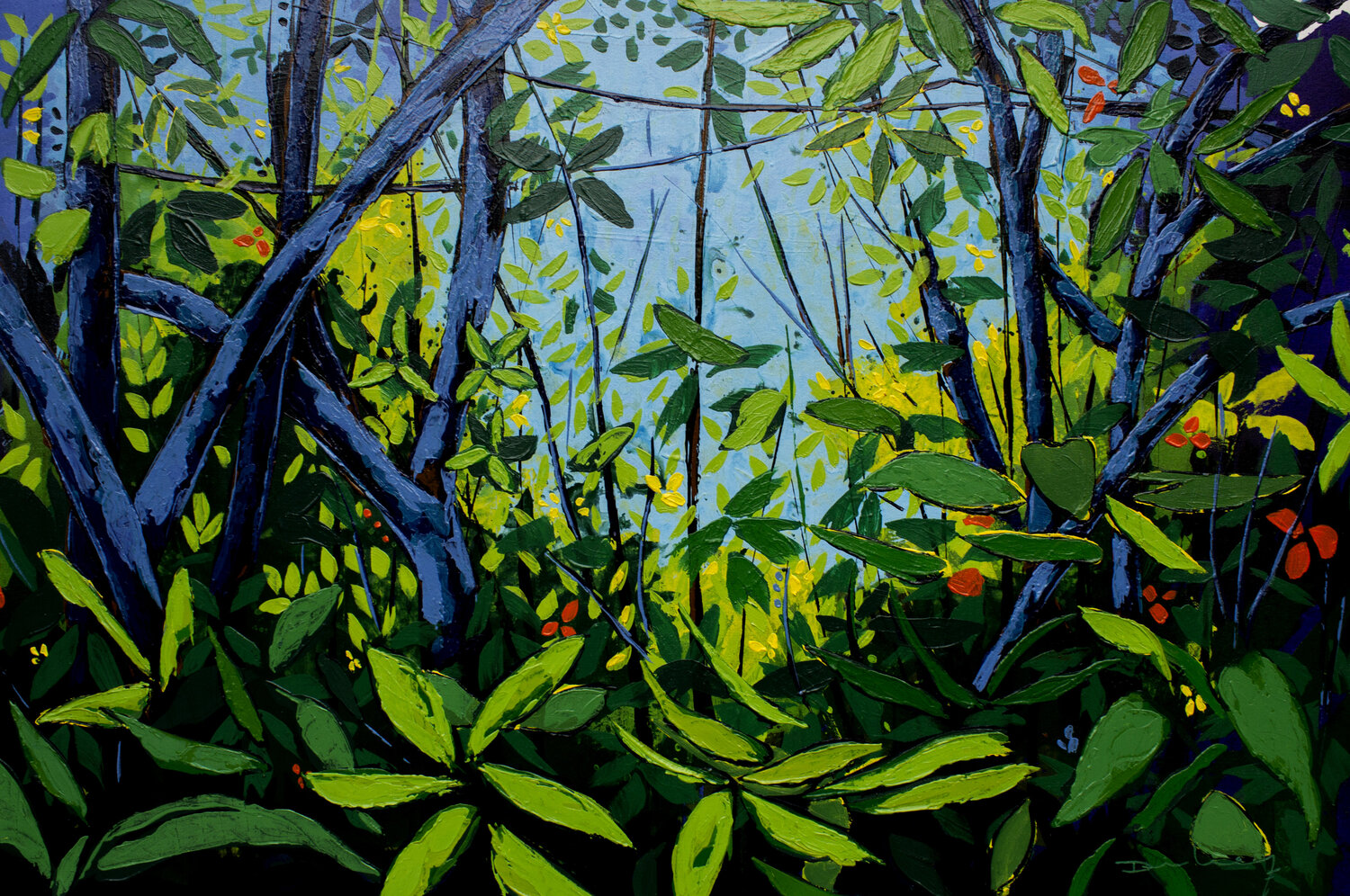 En azul. San Agustín Huila Didier Franco