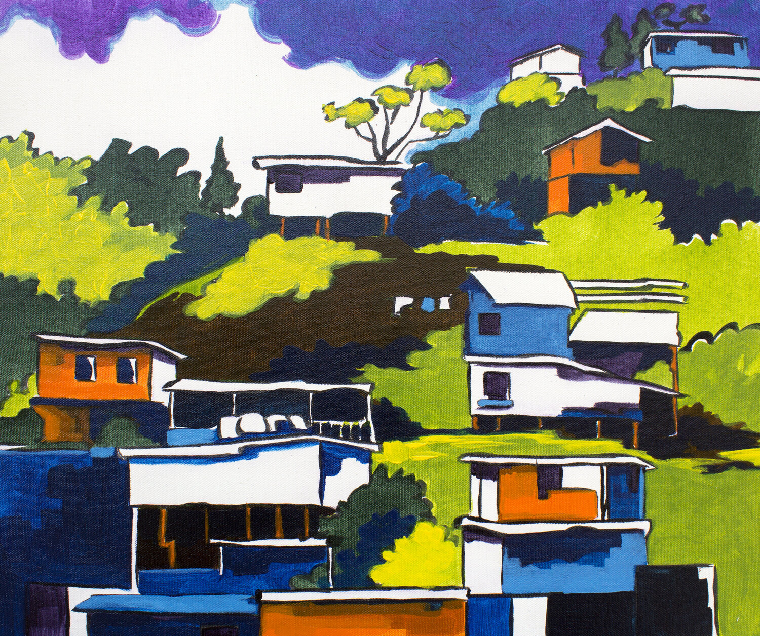 El pesebre. En construcción. Didier Franco