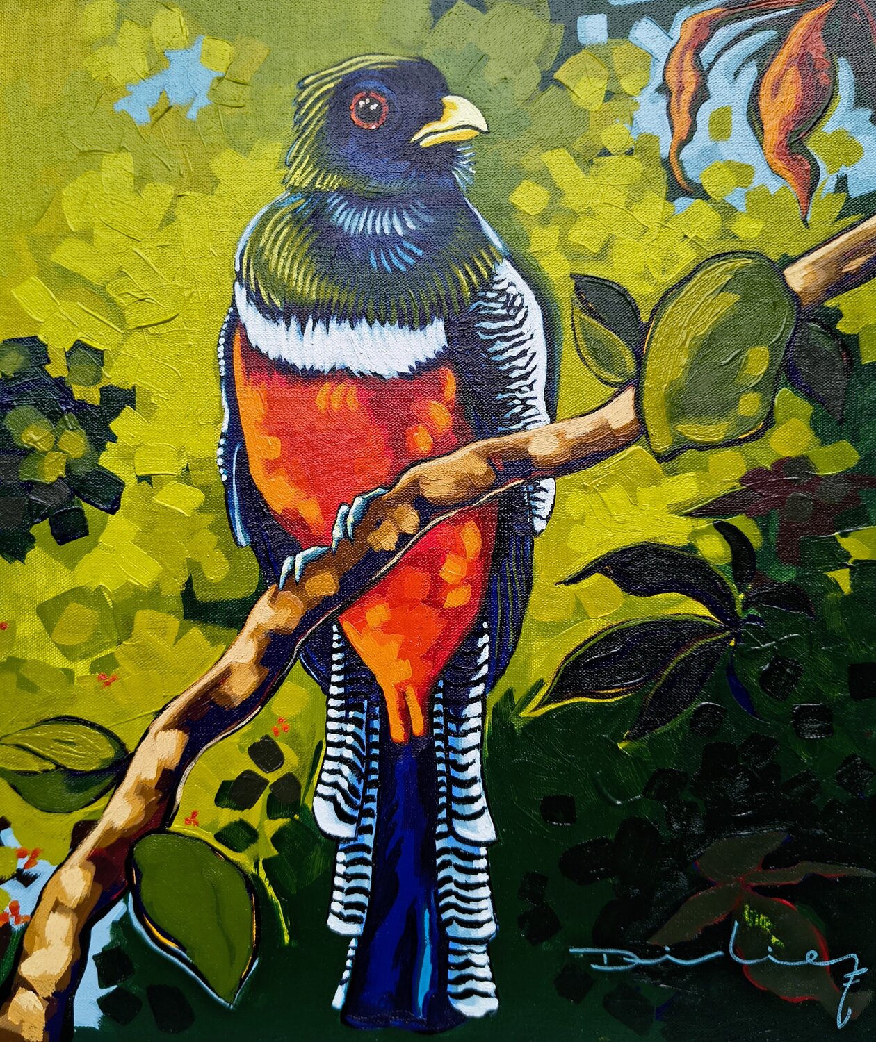 Trogón acollarado Didier Franco