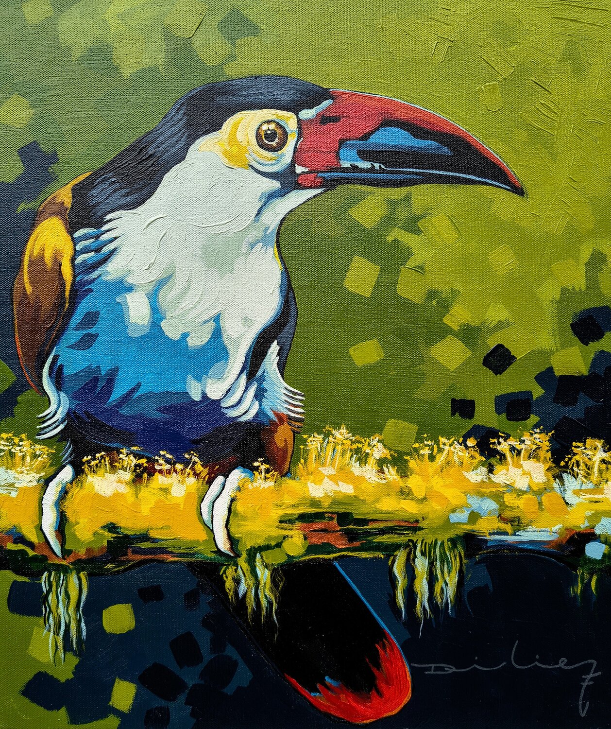 Tucán celeste Didier Franco