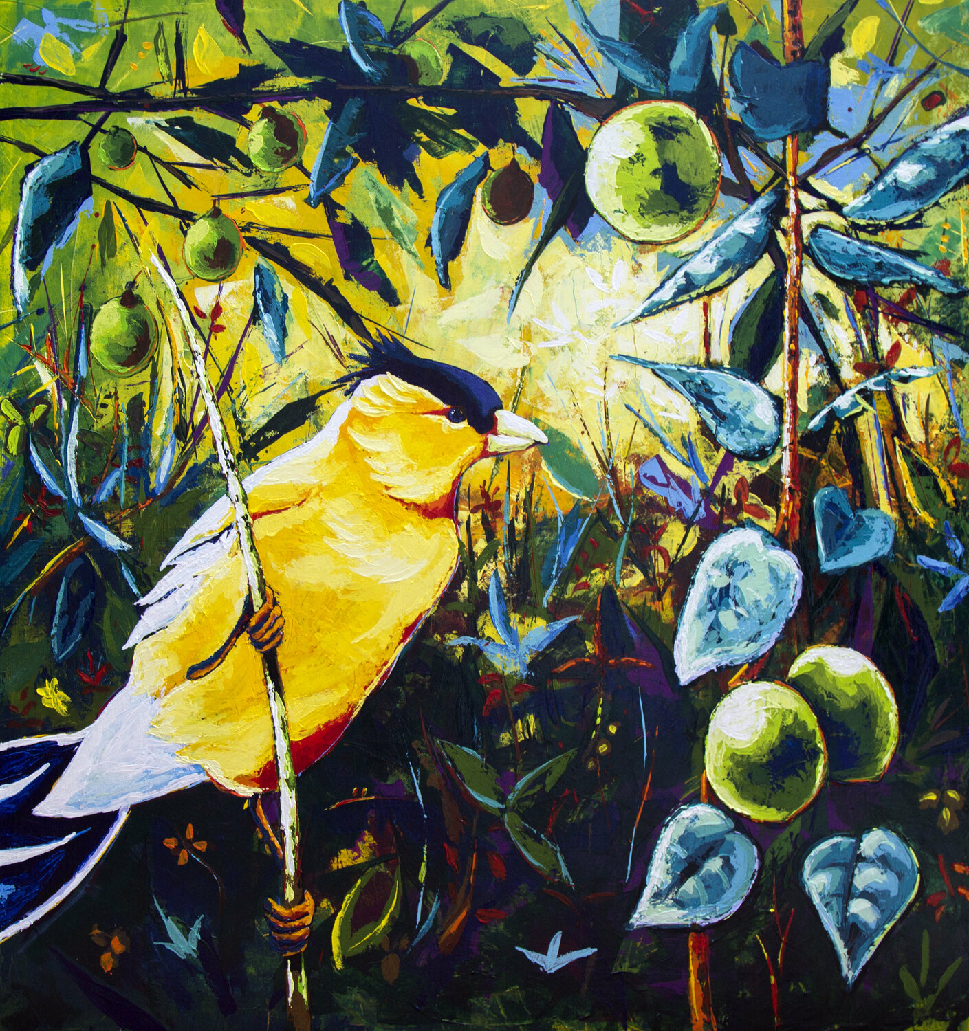 Pájaro amarillo. Didier Franco