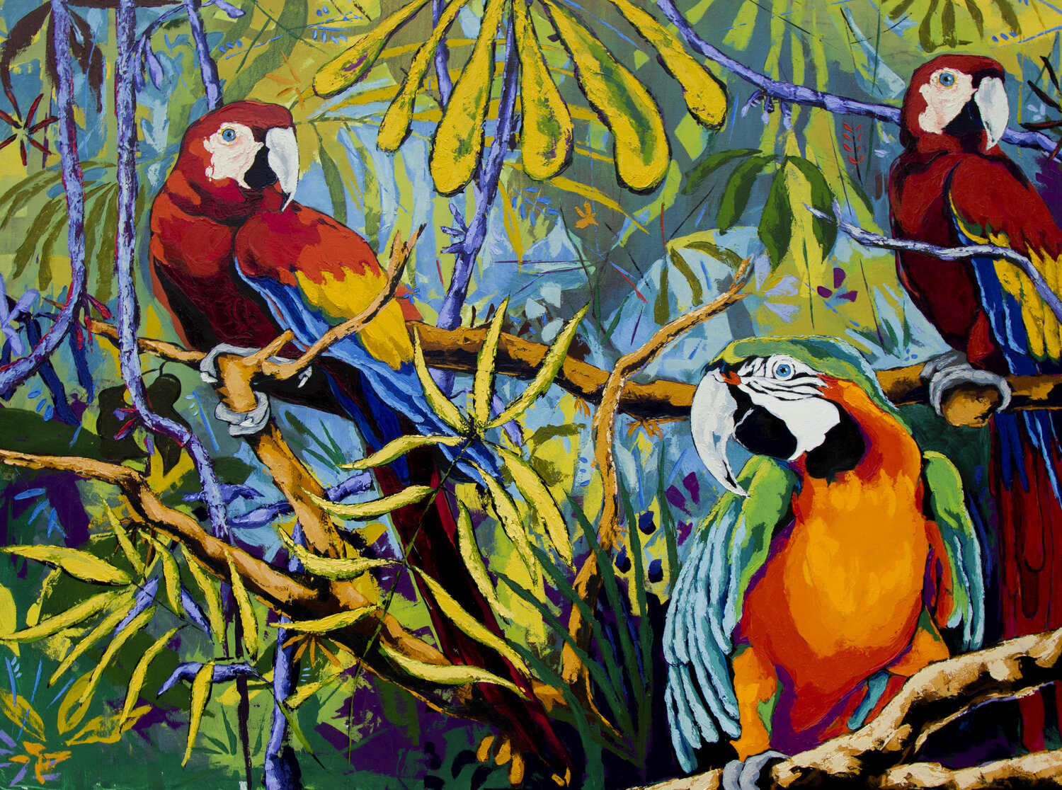 Guacamayas Didier Franco