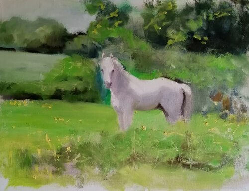 Louis in his dandelion field van Rosemary Burn, Schilderij te koop op Singulart