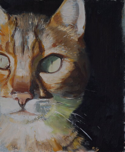 Cat's eyes van Rosemary Burn, Schilderij te koop op Singulart