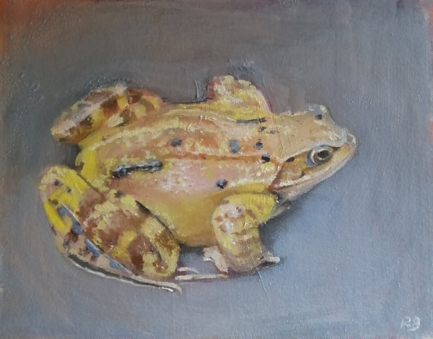 Frog Rosemary Burn Origineel schilderij te koop
