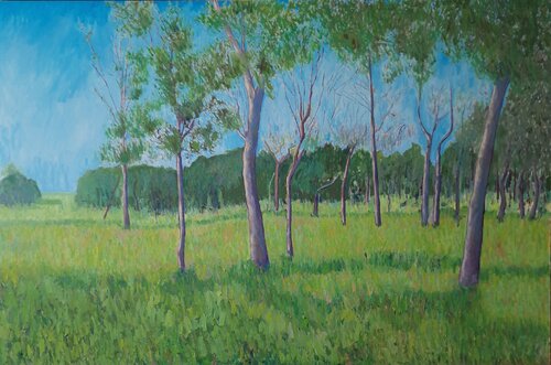 pinewood, afternoon by Luca Raimondi, Painting for Sale on Singulart