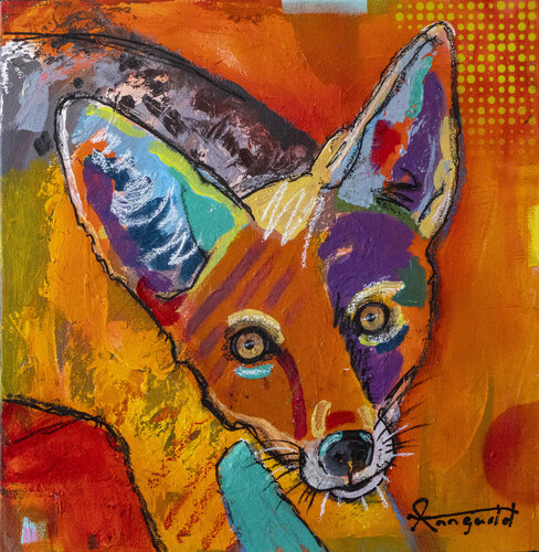 Kgalagadi Jackal Ann Gadd