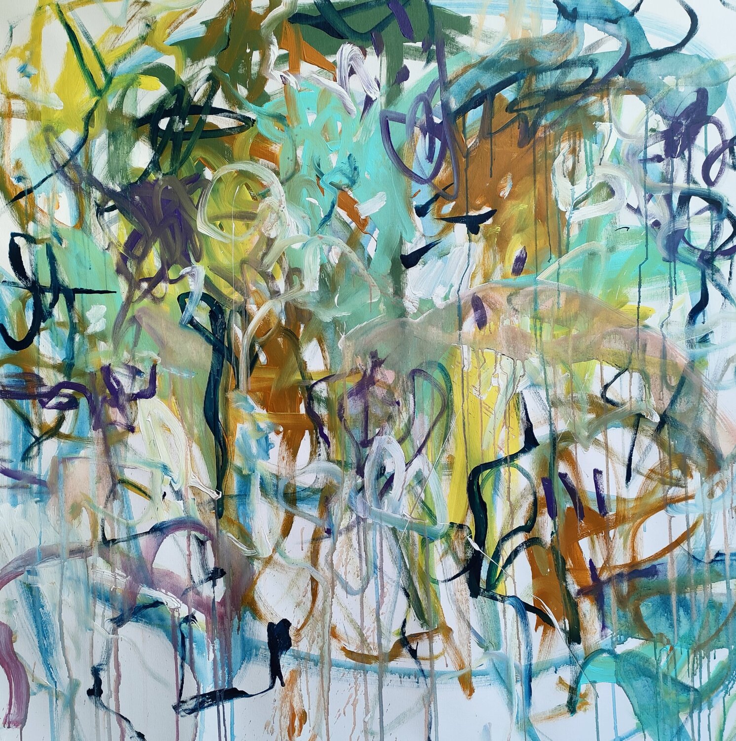 Birds songs Emily Starck