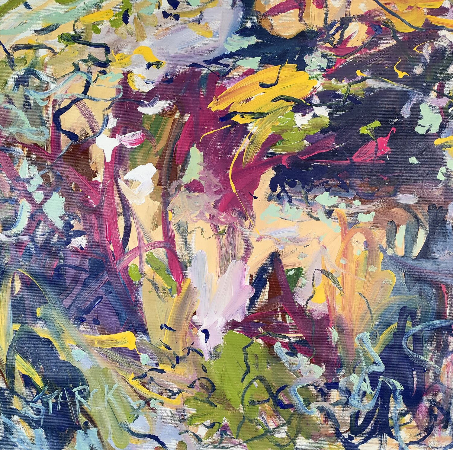 Art Karlsruhe 2026 Emily Starck