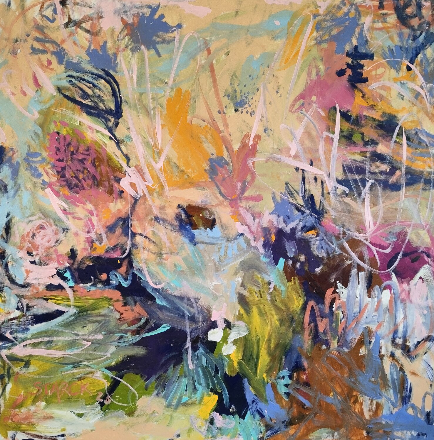 What can I do ? Emily Starck