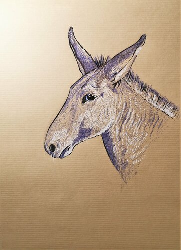 Âne van Sabine Ducarn, Tekening te koop op Singulart