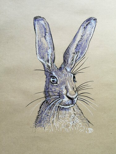Lièvre von Sabine Ducarn, Zeichnungen kaufen auf Singulart