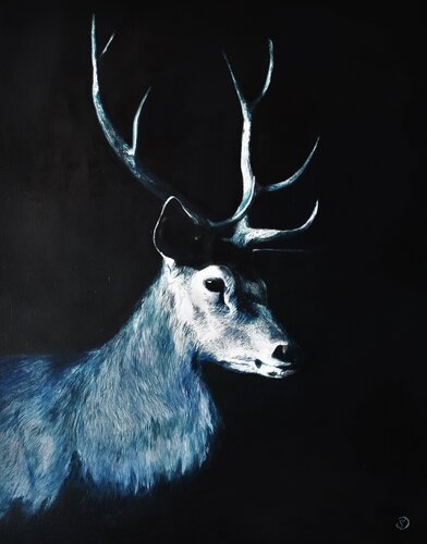 Jeune cerf dans la nuit van Sabine Ducarn, Schilderij te koop op Singulart