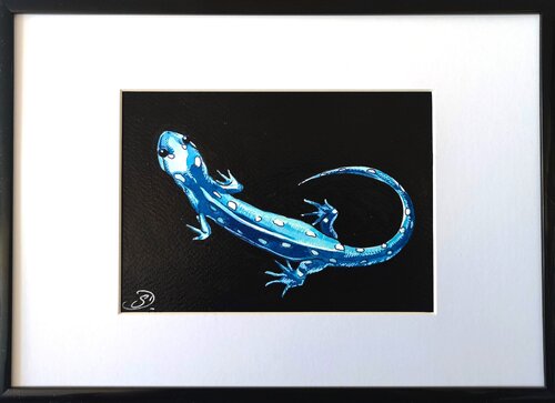 Salamandre von Sabine Ducarn, Zeichnungen kaufen auf Singulart